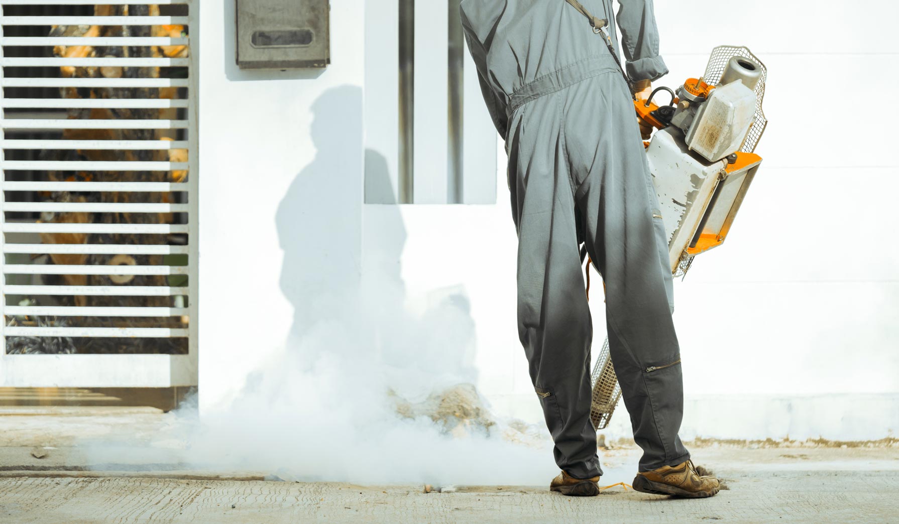 Fogging To Eliminate Pests — Pest Control in Mittagong, NSW