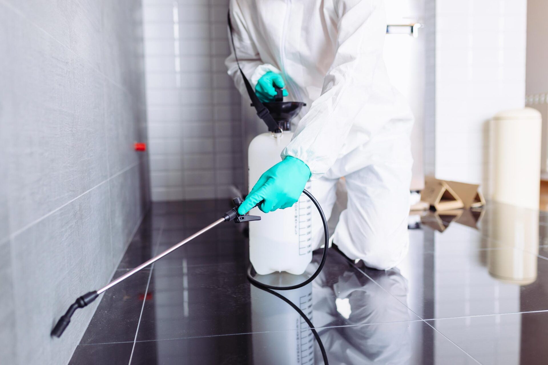 Exterminator Spraying Pesticide — Pest Control in Bowral, NSW