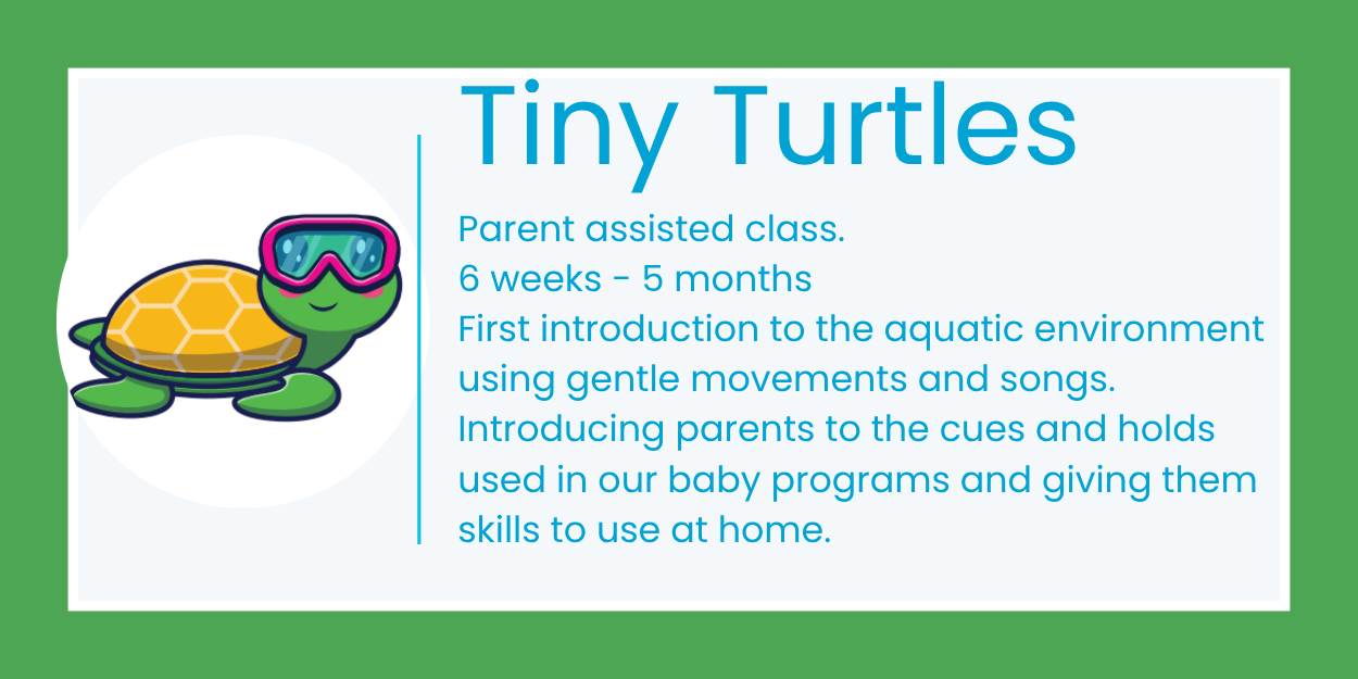 Tiny Turtles poster with a cartoon turtle, offering parent sessions and cues to support baby programs at home