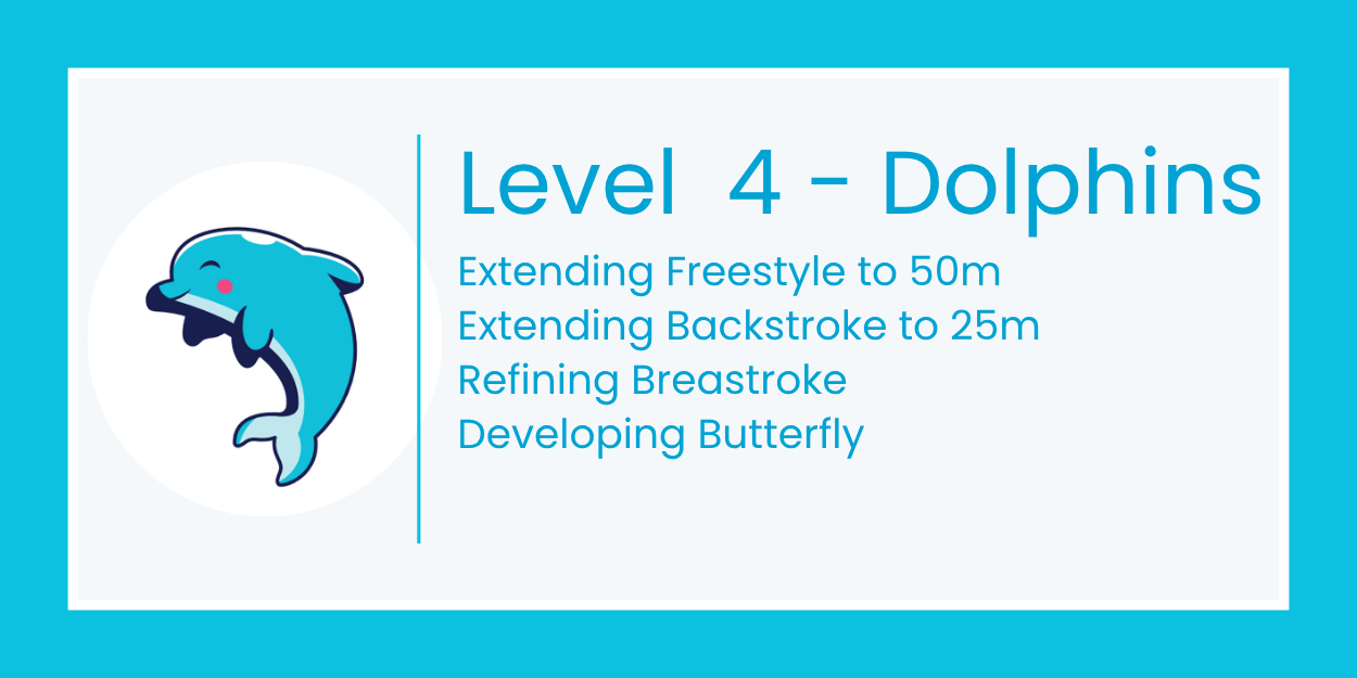 Blue dolphin swim level chart: “Level 4 – Dolphins” with four skill goals listed.