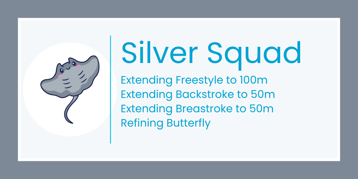 Silver Squad logo with shark icon and swim training goals on white background
