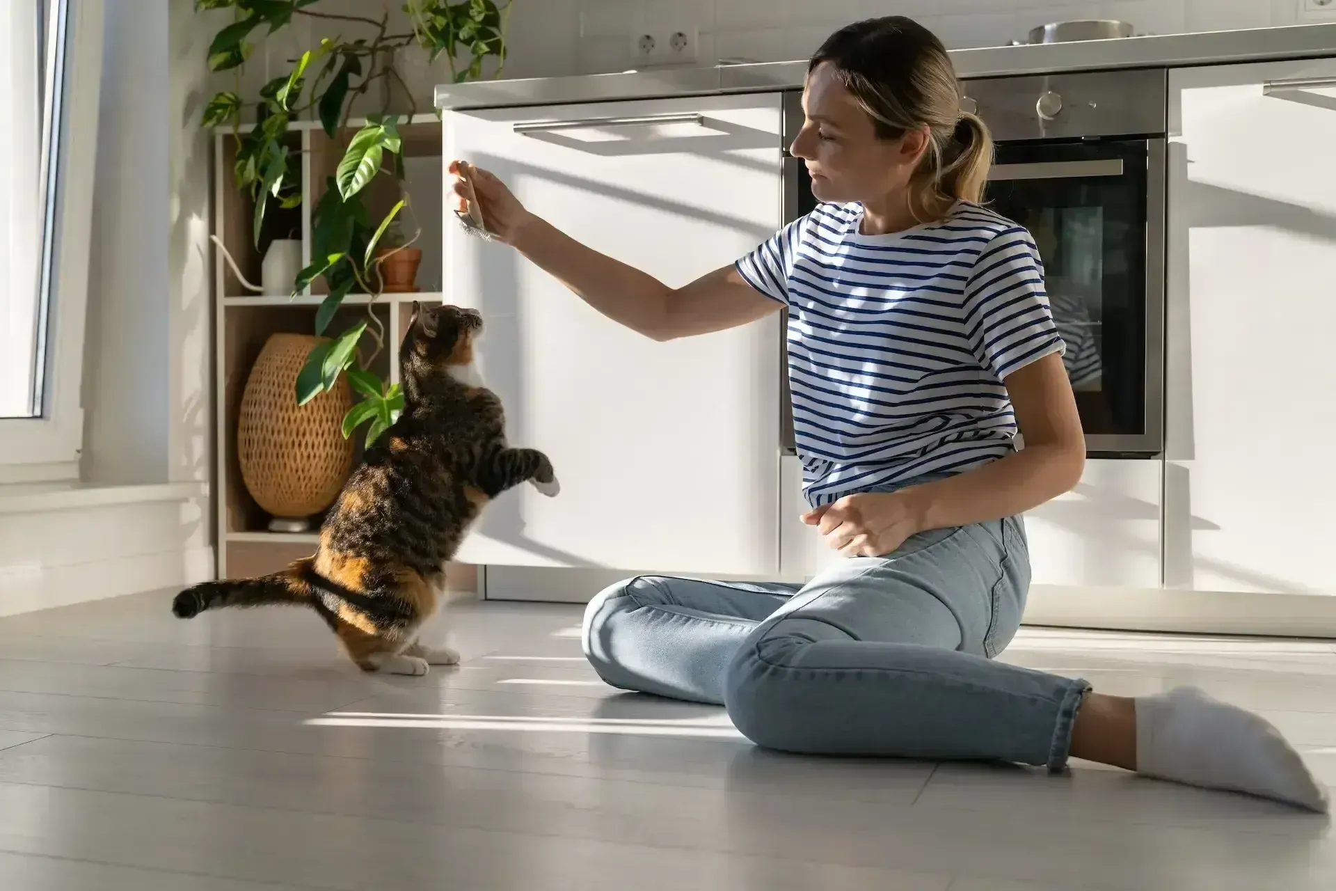 Pet sitter inside of a house giving a cat a treat for doing a trick.