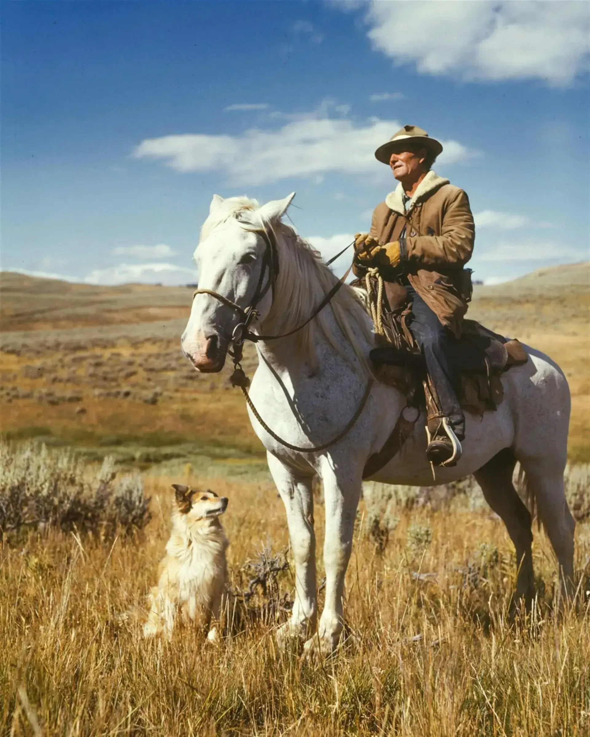 Man riding a white horse accompanied by his dog.
