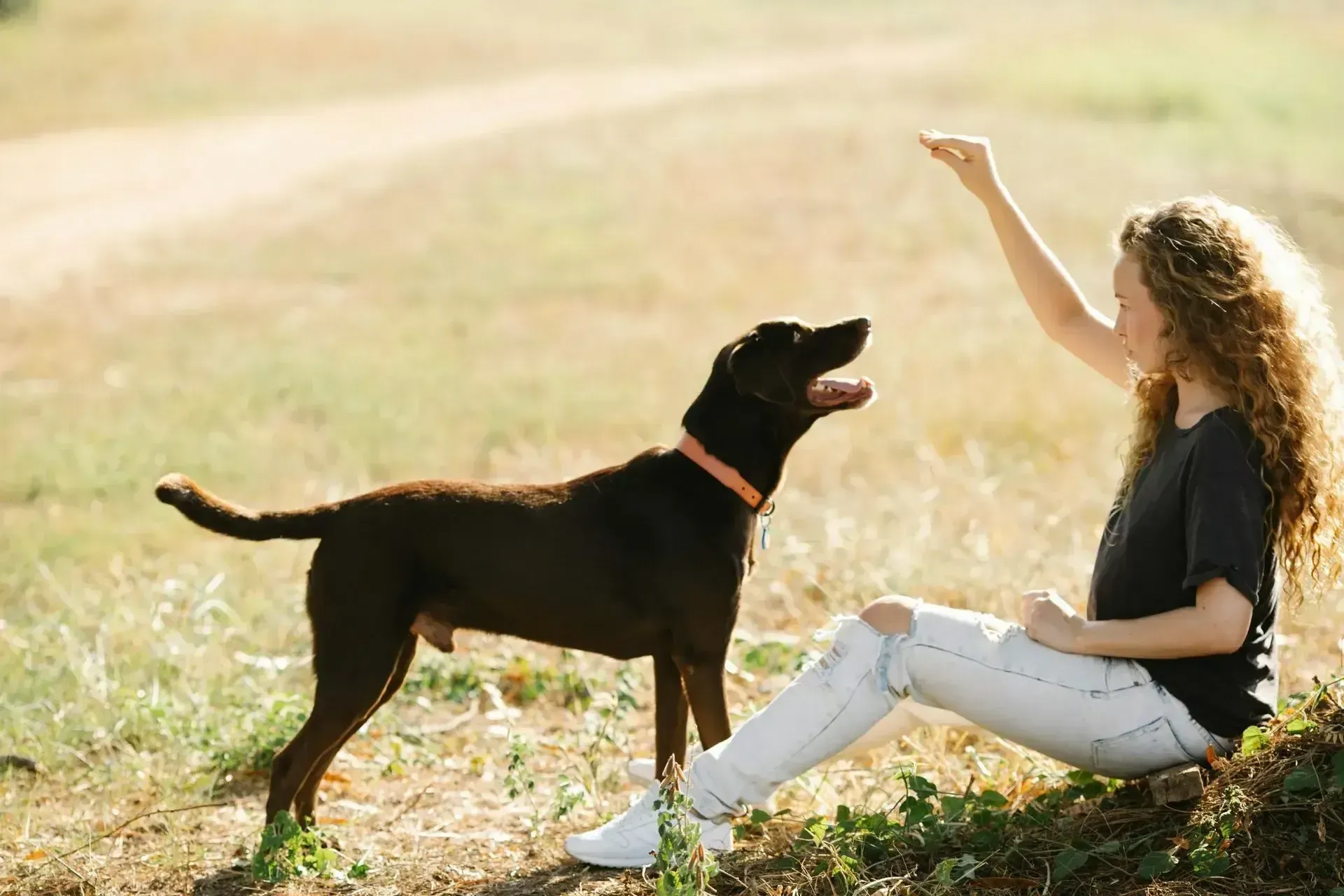 A woman is sitting on the ground giving a treat to her dog.