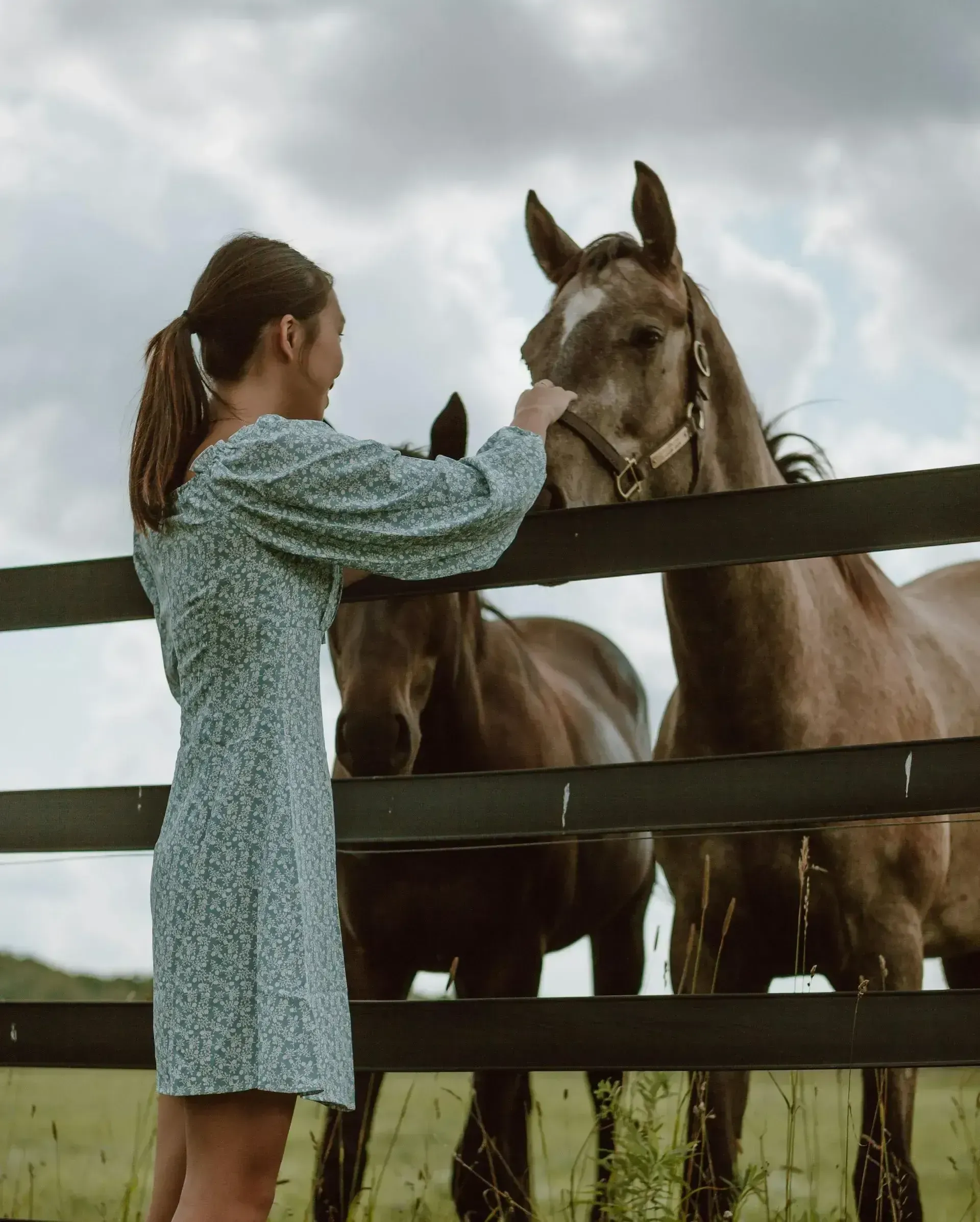 A woman in a blue dress petting a horse behind a fence