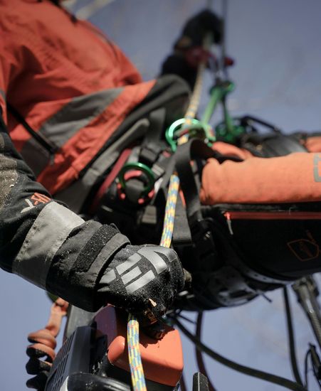 arborist 