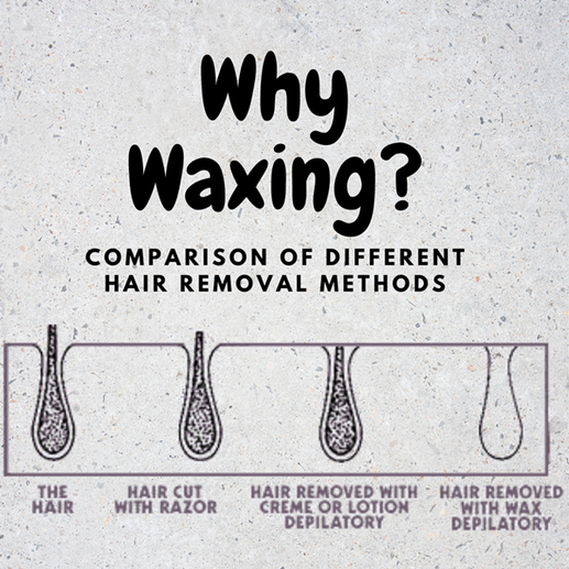 Diagram comparing hair removal methods. Shows hair follicle with hair, razor cut hair, chemical depilatory, and waxed hair.