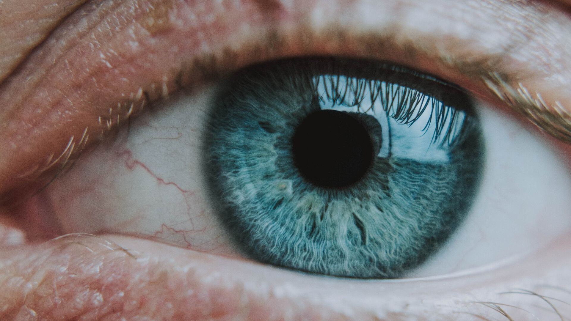 a close up of a person 's blue eye