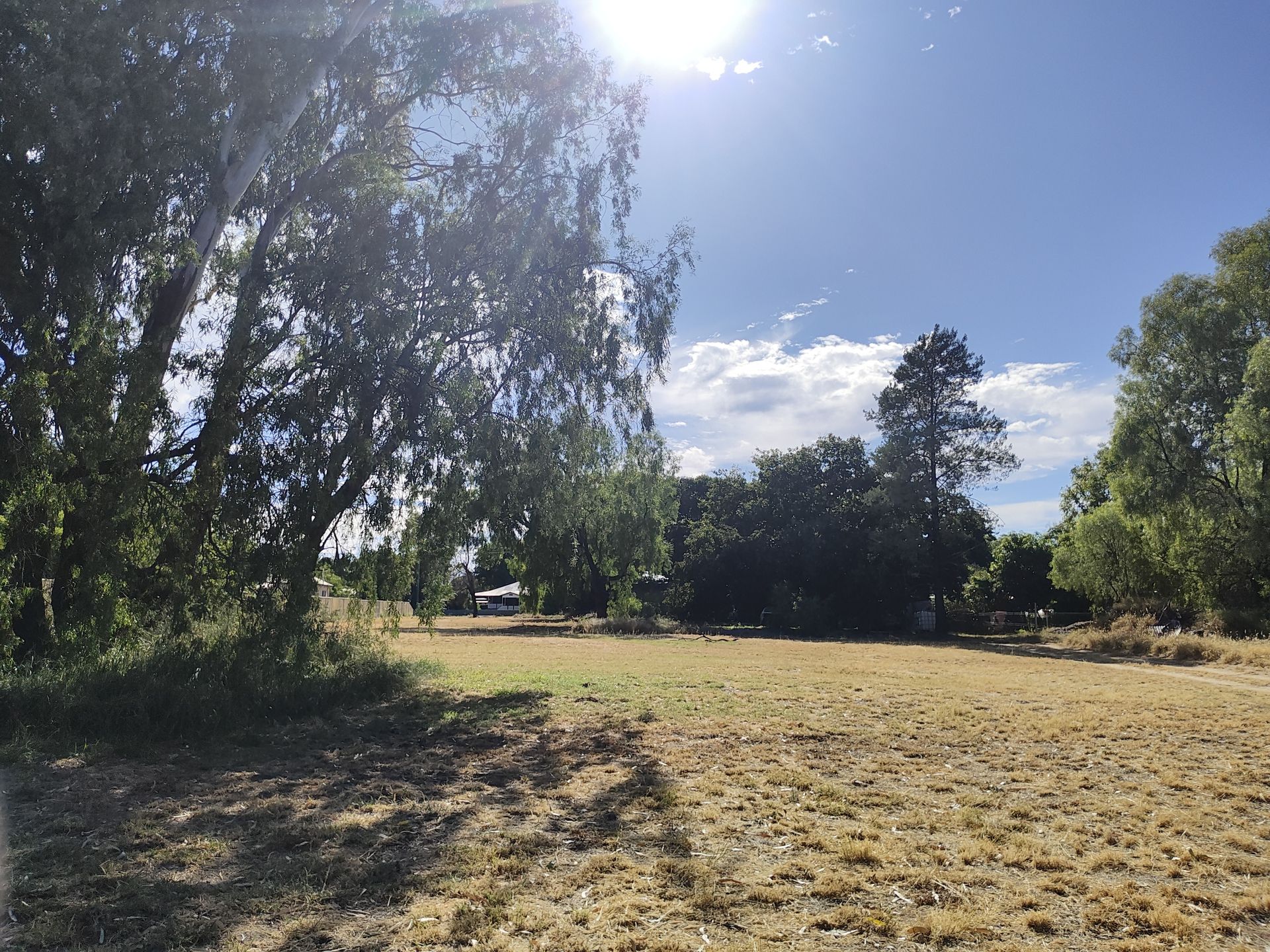 The Department of Housing and Public works engaged Redleaf Group to conduct a cultural heritage and Native Title Duty of Care assessment prior to works commencing on housing construction in St George. This included investigations through desktop research, register and database searches and a field survey. A mature tree was identified within the project area; thus, risk categorisations and heritage management recommendations were provided to the Department of Housing and Public Works in compliance with legislation. 