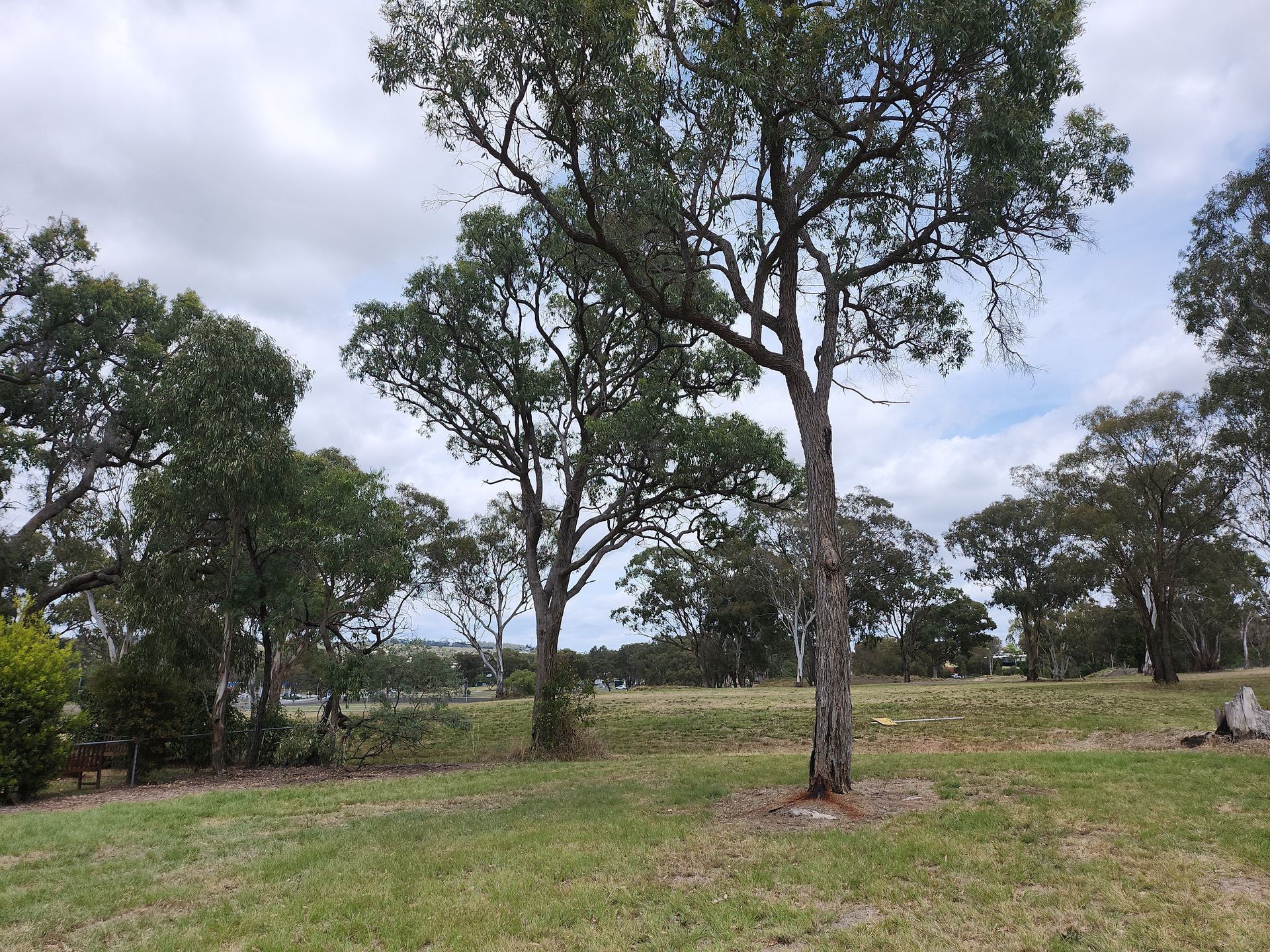 Redleaf Environmental was engaged by Department of Energy and Public Works (QBuild) to conduct a Cultural Heritage and Native Title Duty of Care Assessment for works in Warwick, Queensland. A field survey was undertaken in addition to the desktop assessment and provided the client with mitigation measures and management recommendations in compliance with legislative obligations.
