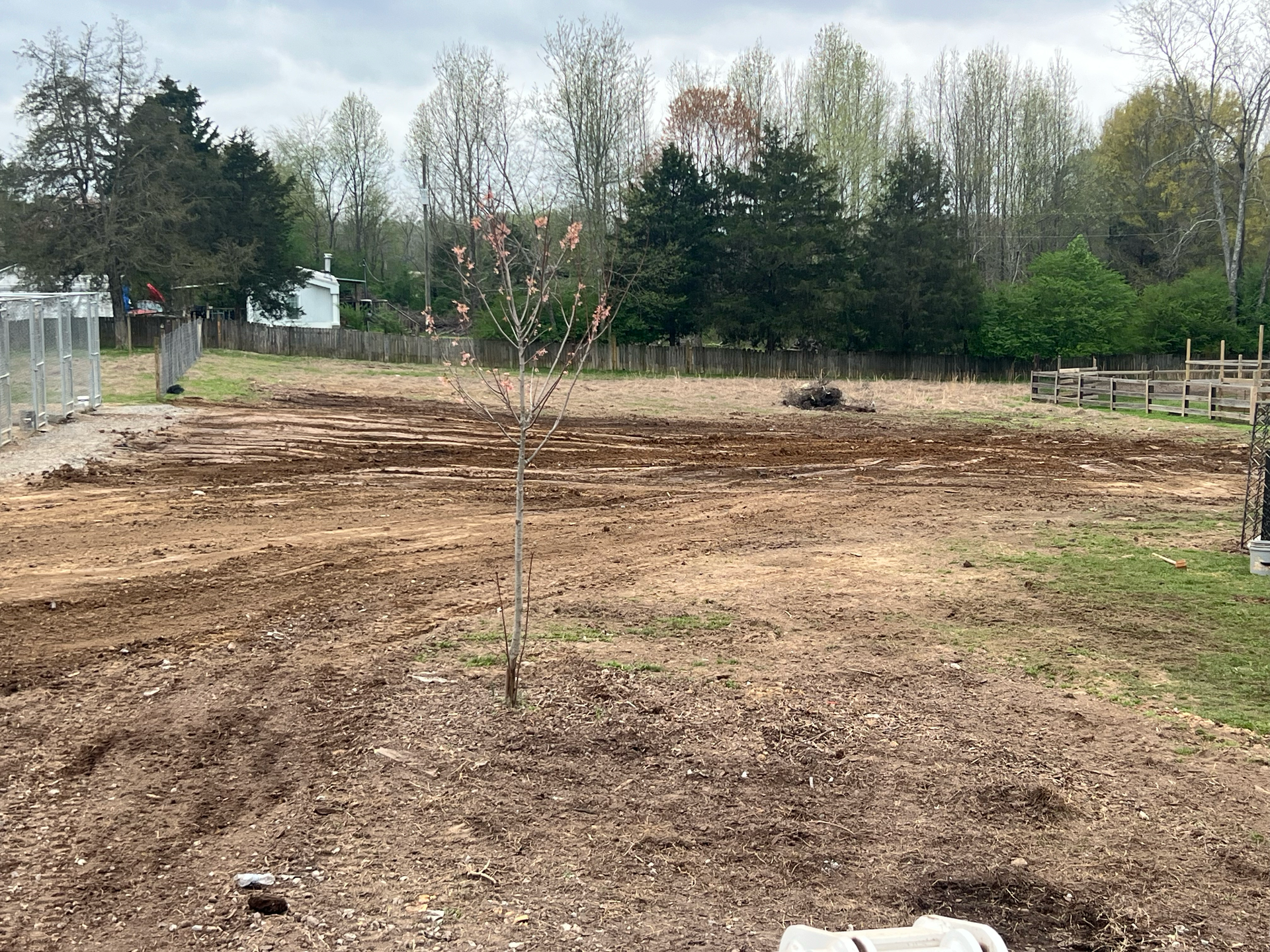 A large dirt field with trees in the background.