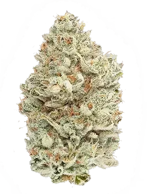 A dense, frosty cannabis bud with white, green, and orange hues.