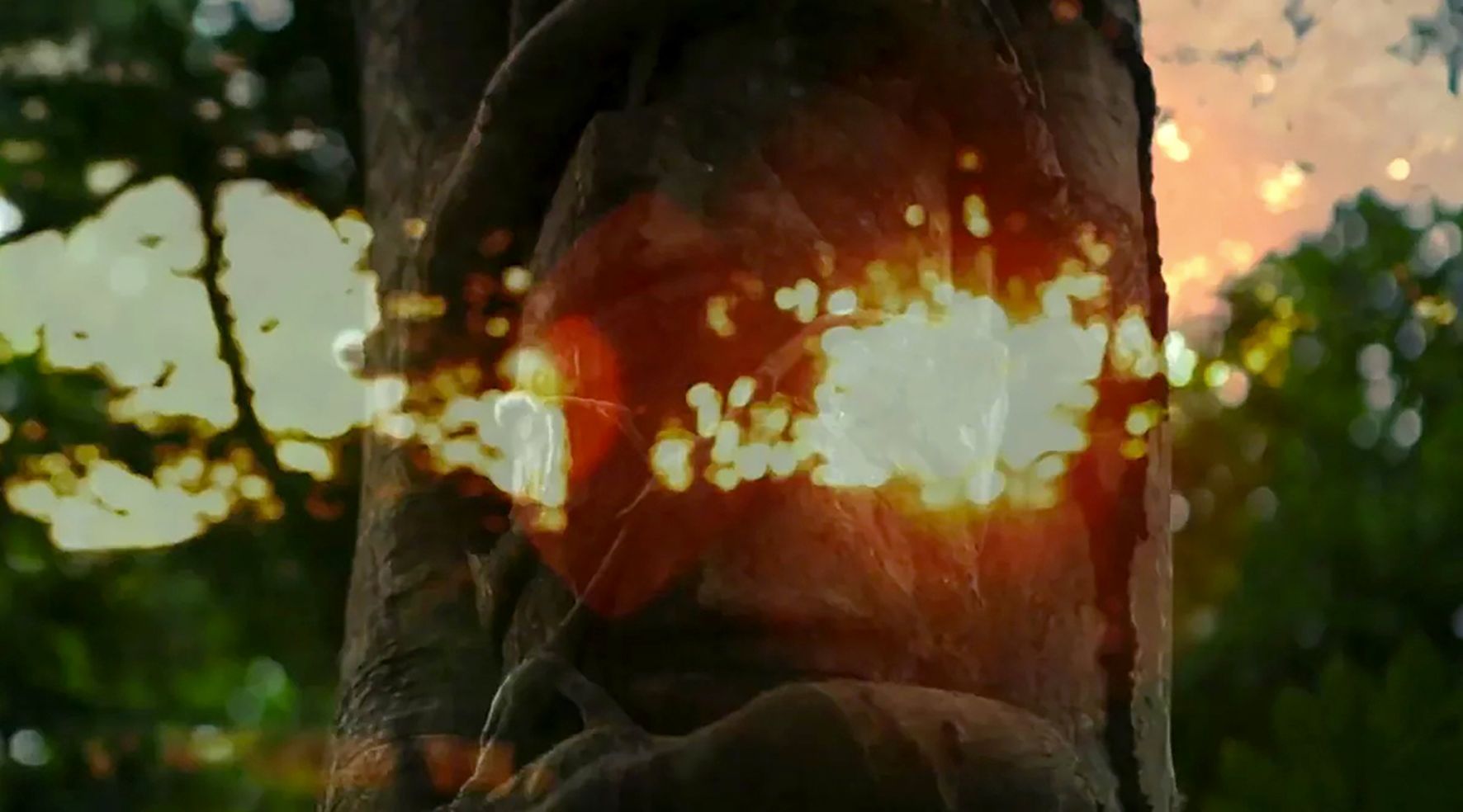 curta mãe do ouro minas gerais bola de fogo moça fazenda mãe desaparecida