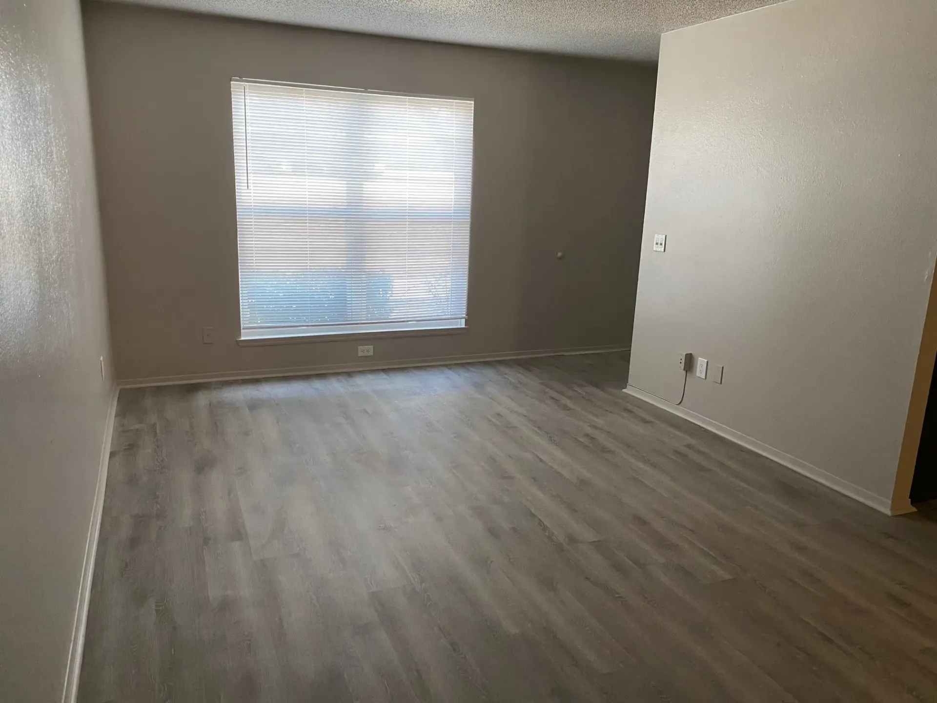 Empty room with light gray walls and wood-look flooring, window with blinds.
