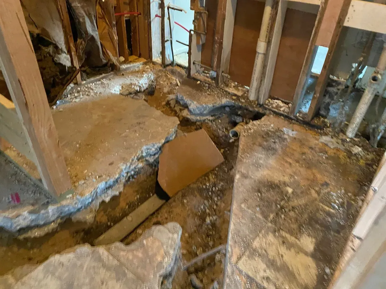 Bathroom renovation: ripped-up flooring, exposed pipes, studs, and concrete in a gutted room.