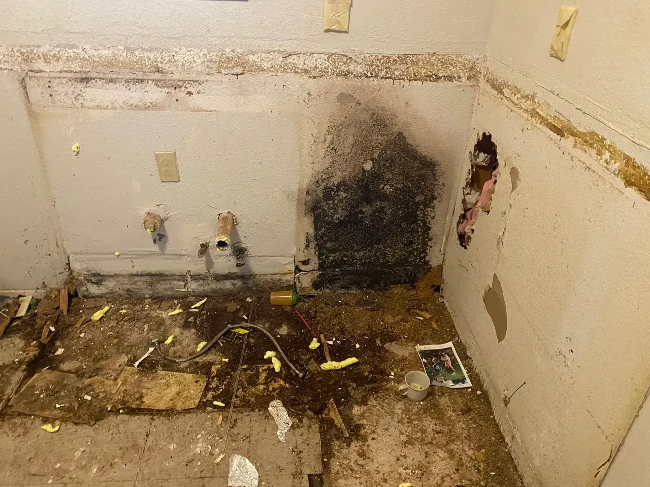 Interior of damaged room with mold and debris on walls and floor.