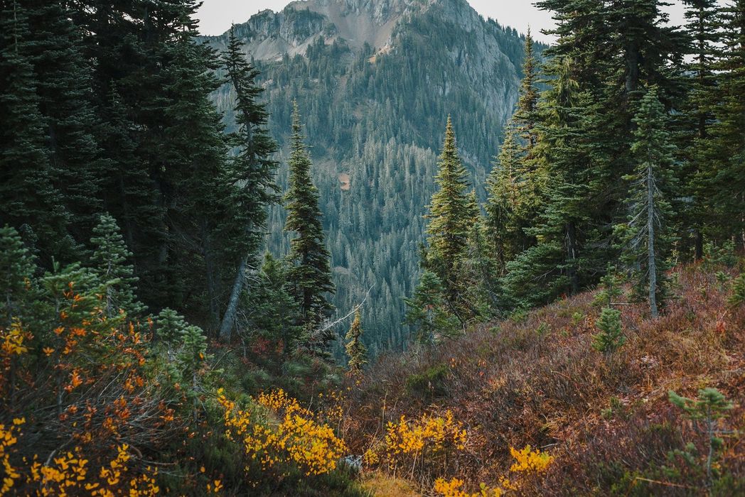 A family is sitting in a grassy field with mountains in the background.
