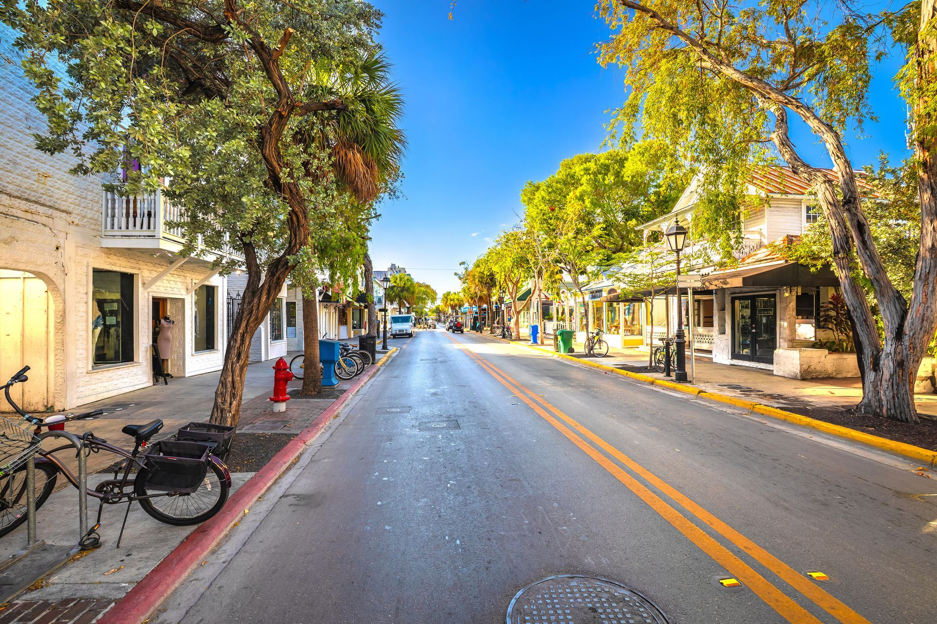 Street lined with trees, shops, and parked bicycles under a clear blue sky.