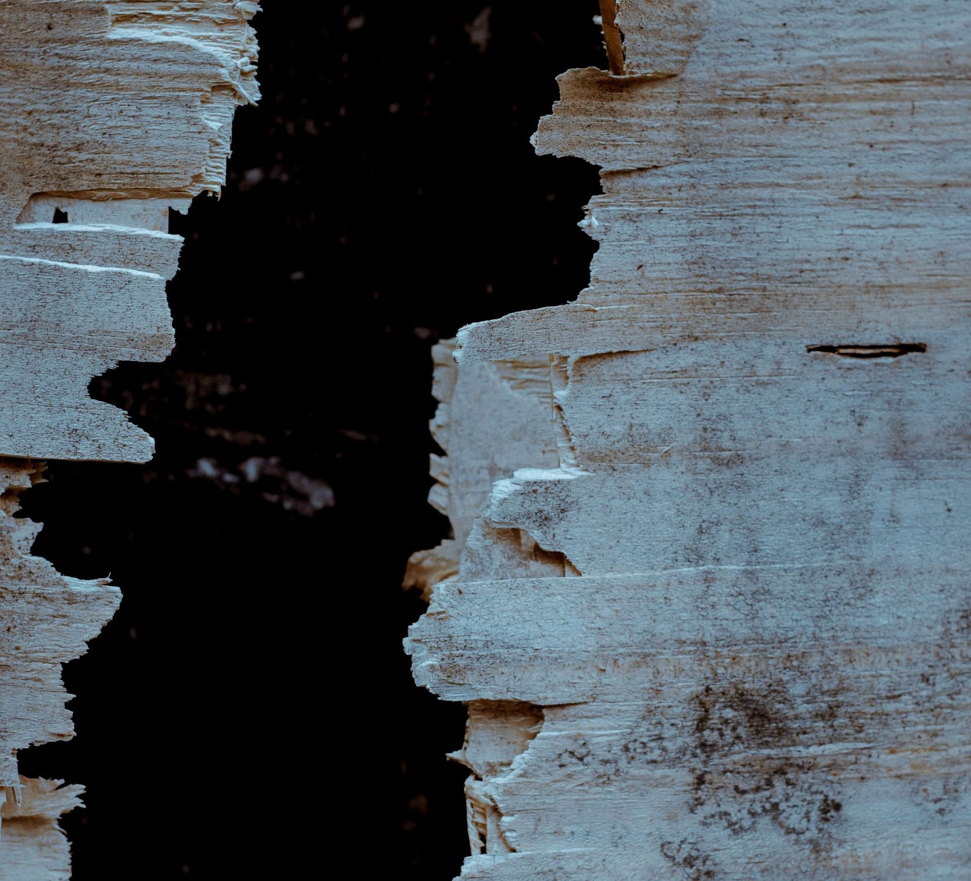 Close-up of weathered, light-colored wood with a dark, vertical gap revealing an obscured interior.