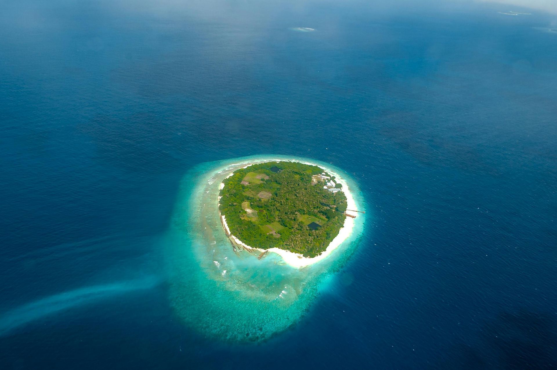 Small green island ringed by white sand and turquoise shallows in a deep blue ocean
