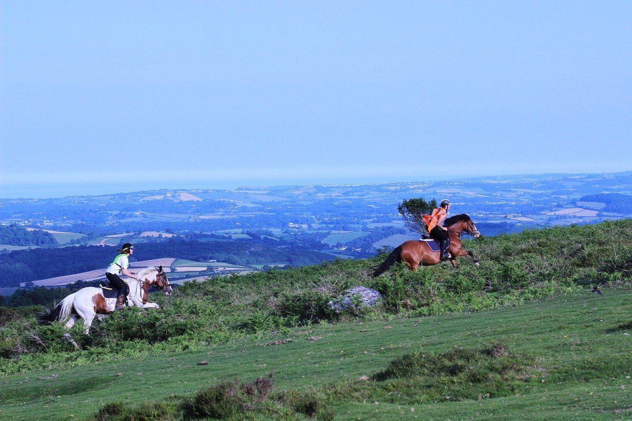 Two people ride horses on a grassy hill, overlooking a hazy coastline.