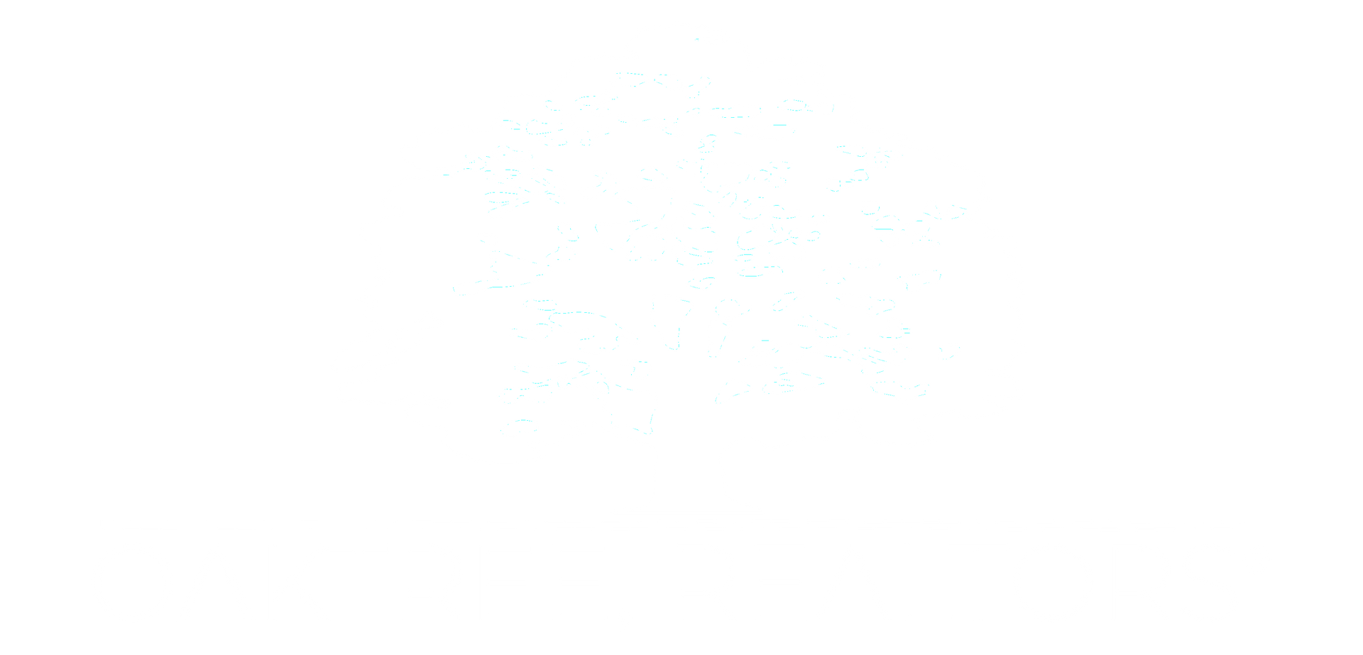 Oaktree Realtors