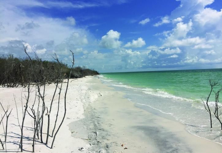 Caladesi Beach Florida New Home Construction
