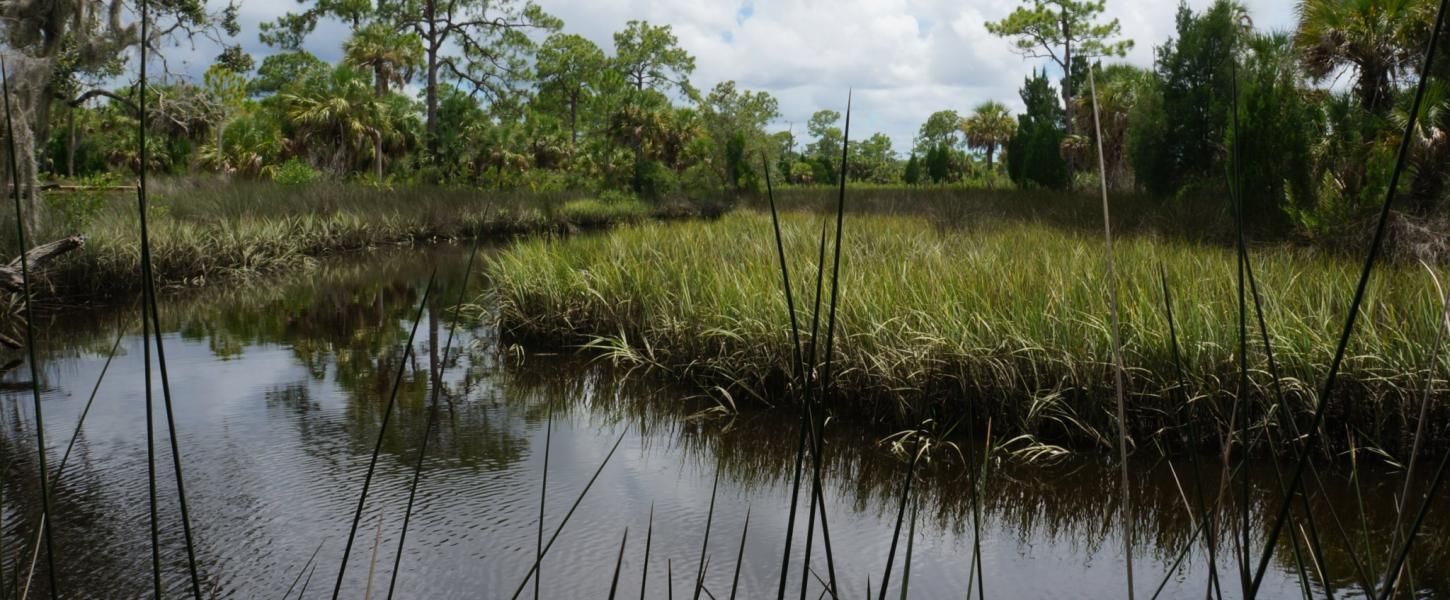 Boyce Salt Springs in Hernando Florida New Home Construction