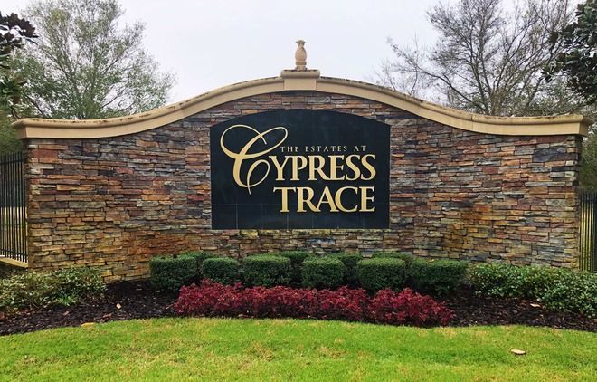 Cypress Trace