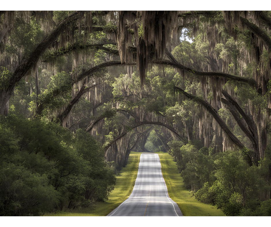 Ridge Scenic Highway Florida New Construction Home