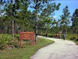 Starkey J Wilderness Florida New Construction Home