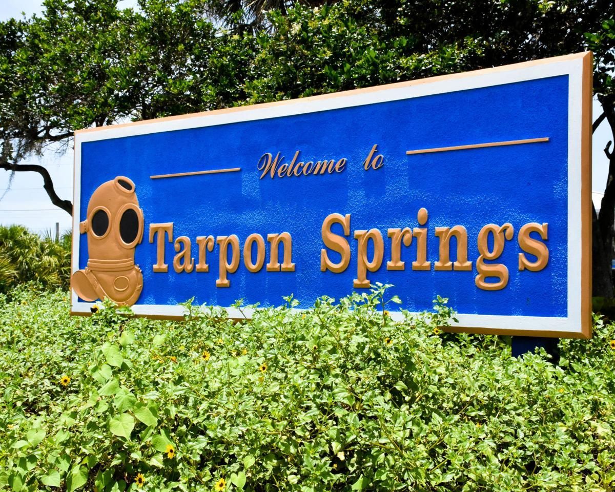 Tarpon Springs New Construction Home Community