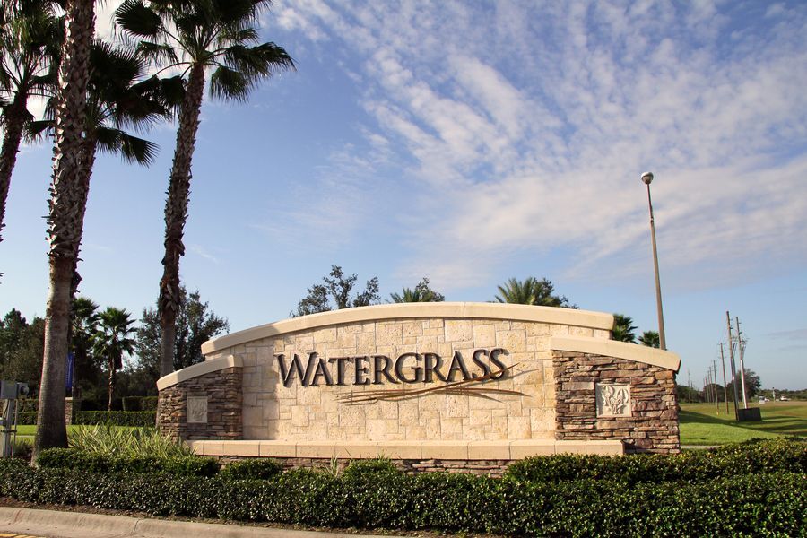 Watergrass