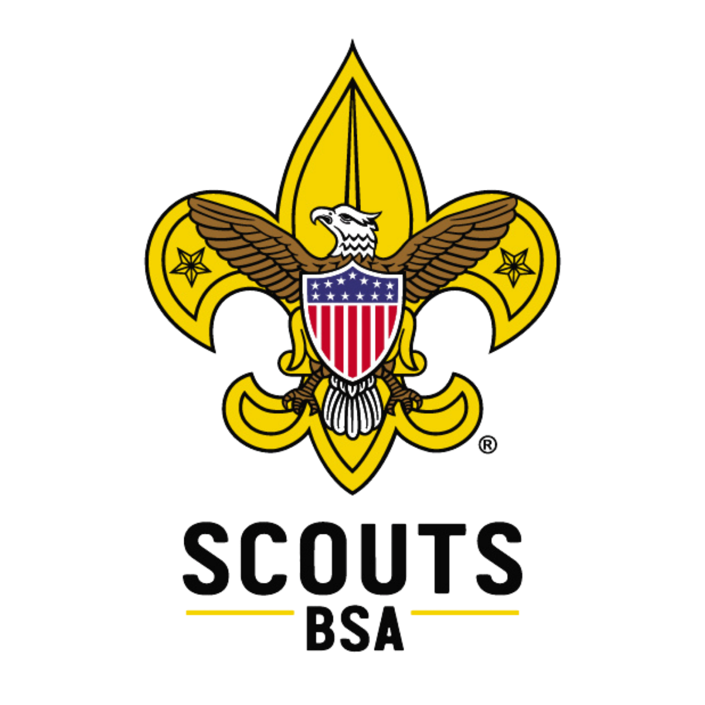 The Cub Scouts logo: a blue wolf head inside a yellow diamond, with 