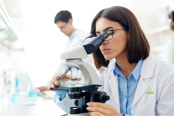 Doctor using microscope