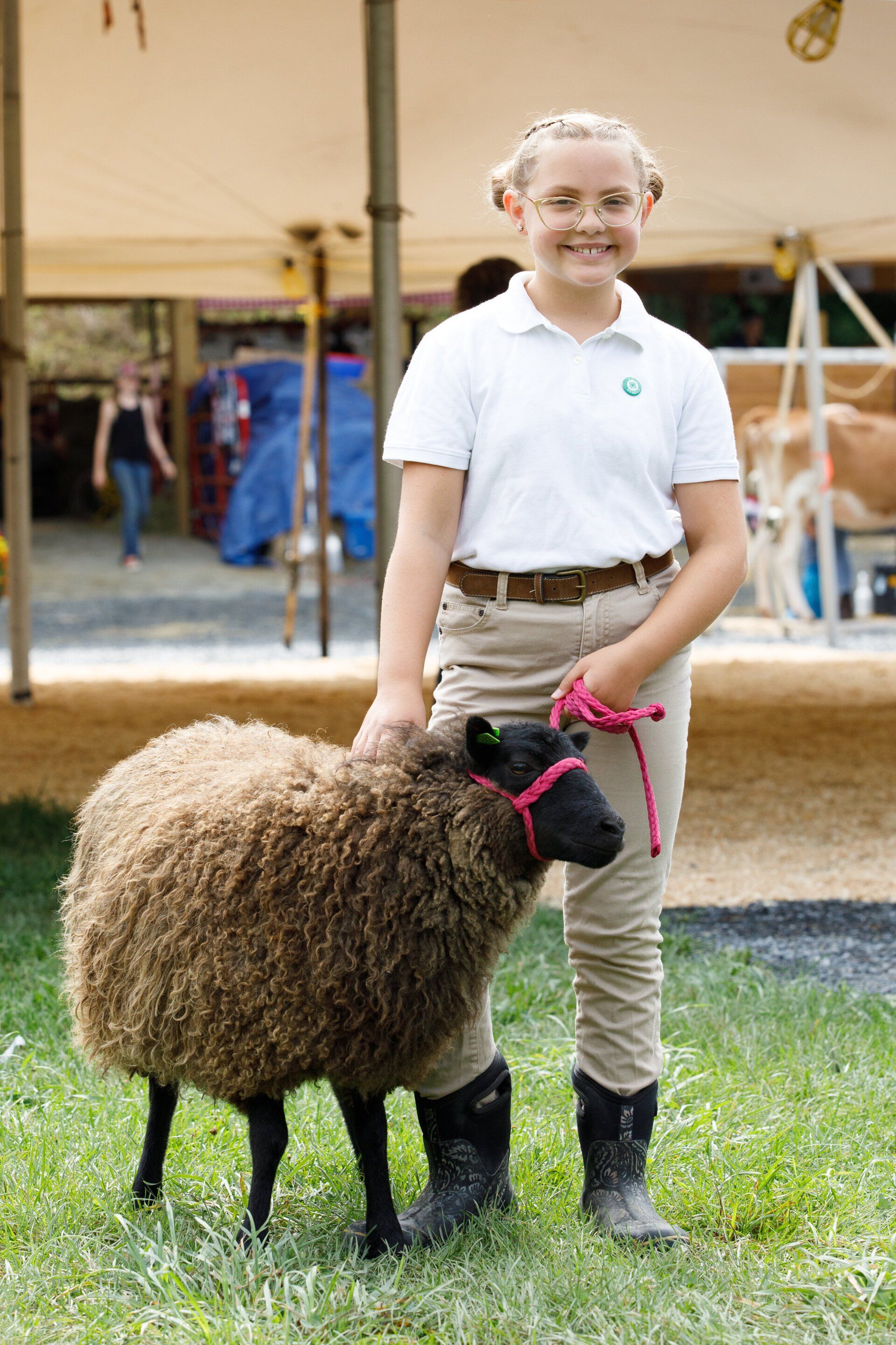A young girl is standing next to a brown sheep.
