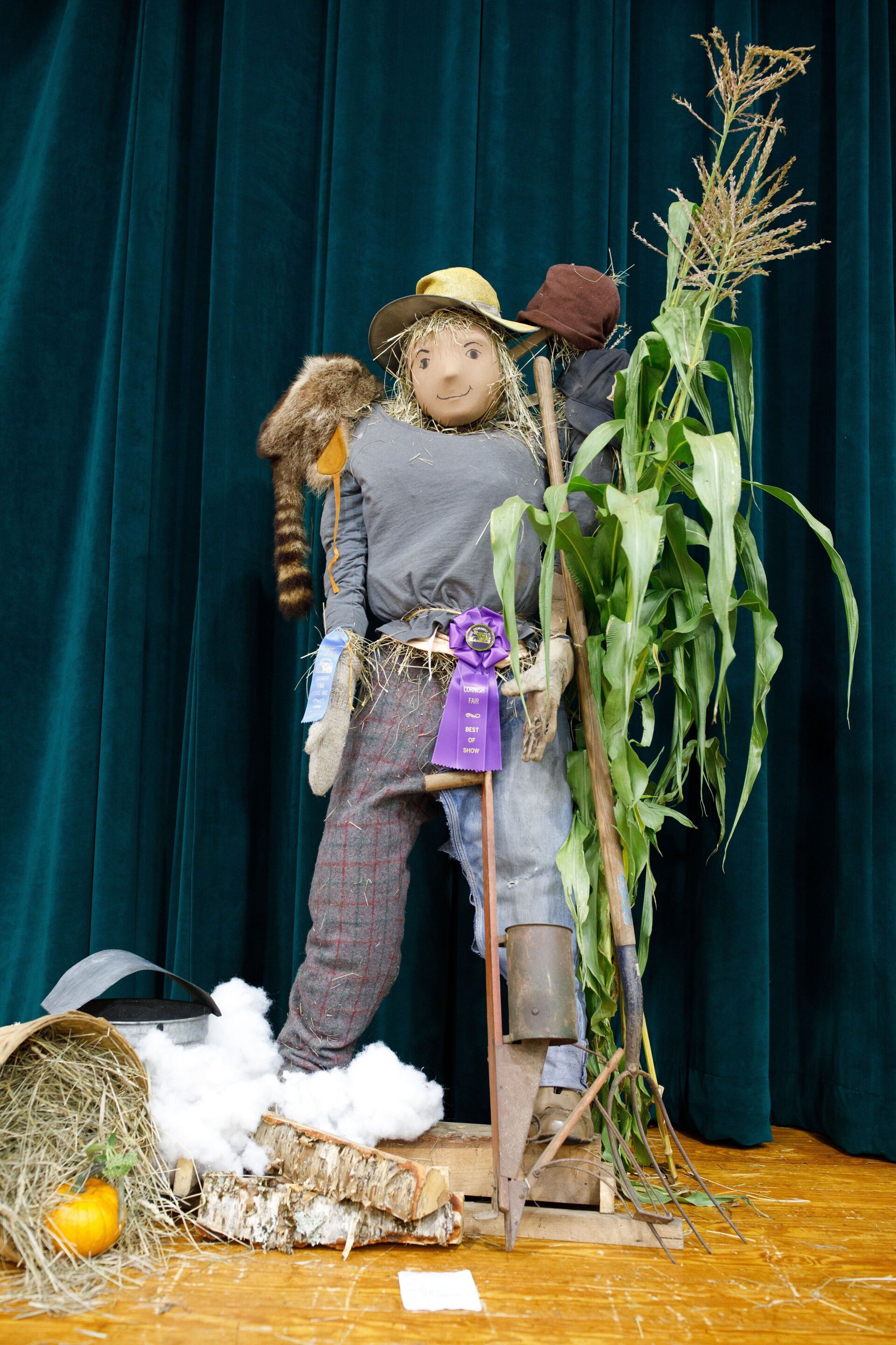 A scarecrow is standing next to a plant on a stage.