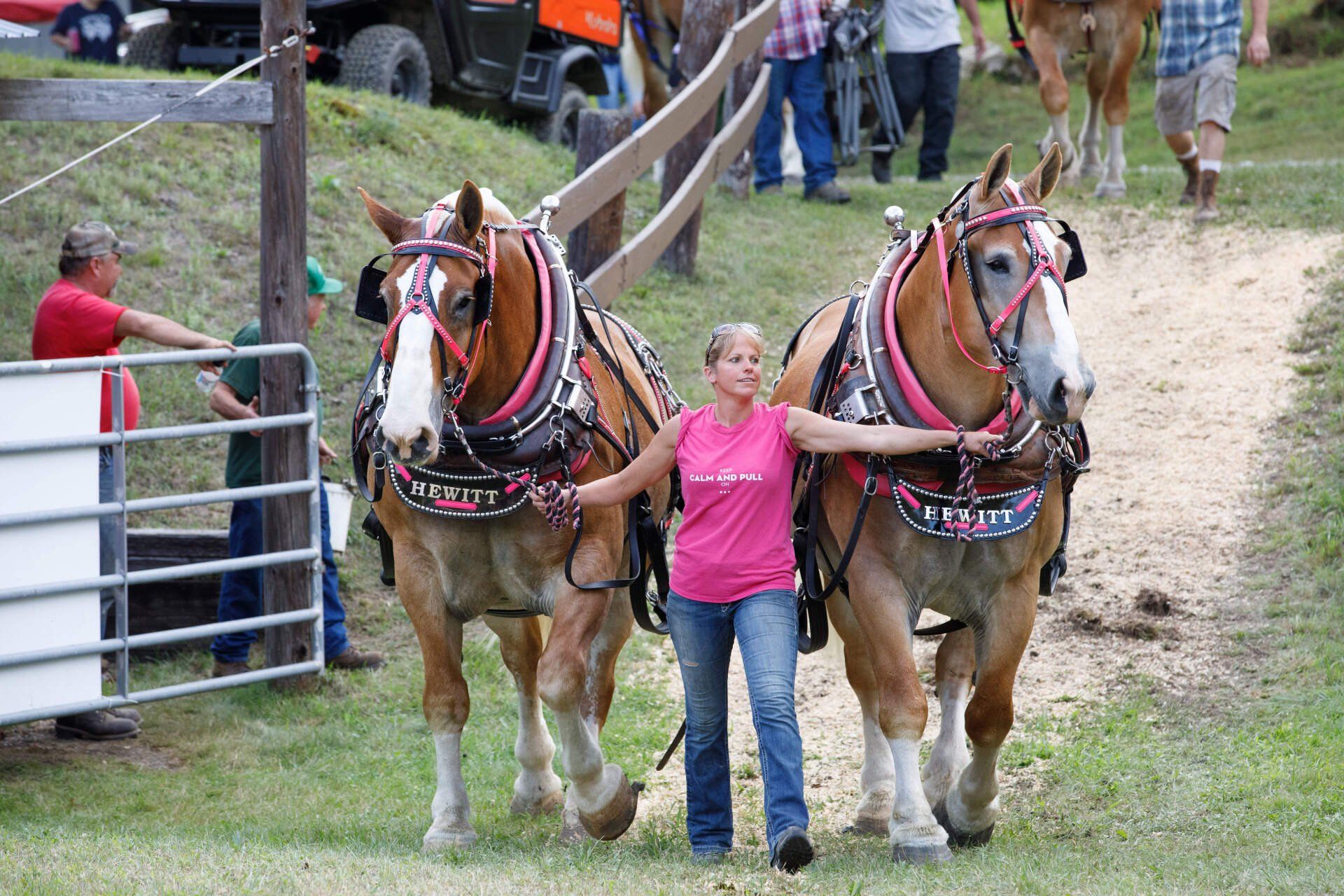 A woman in a pink shirt is standing next to two horses pulling a plow.