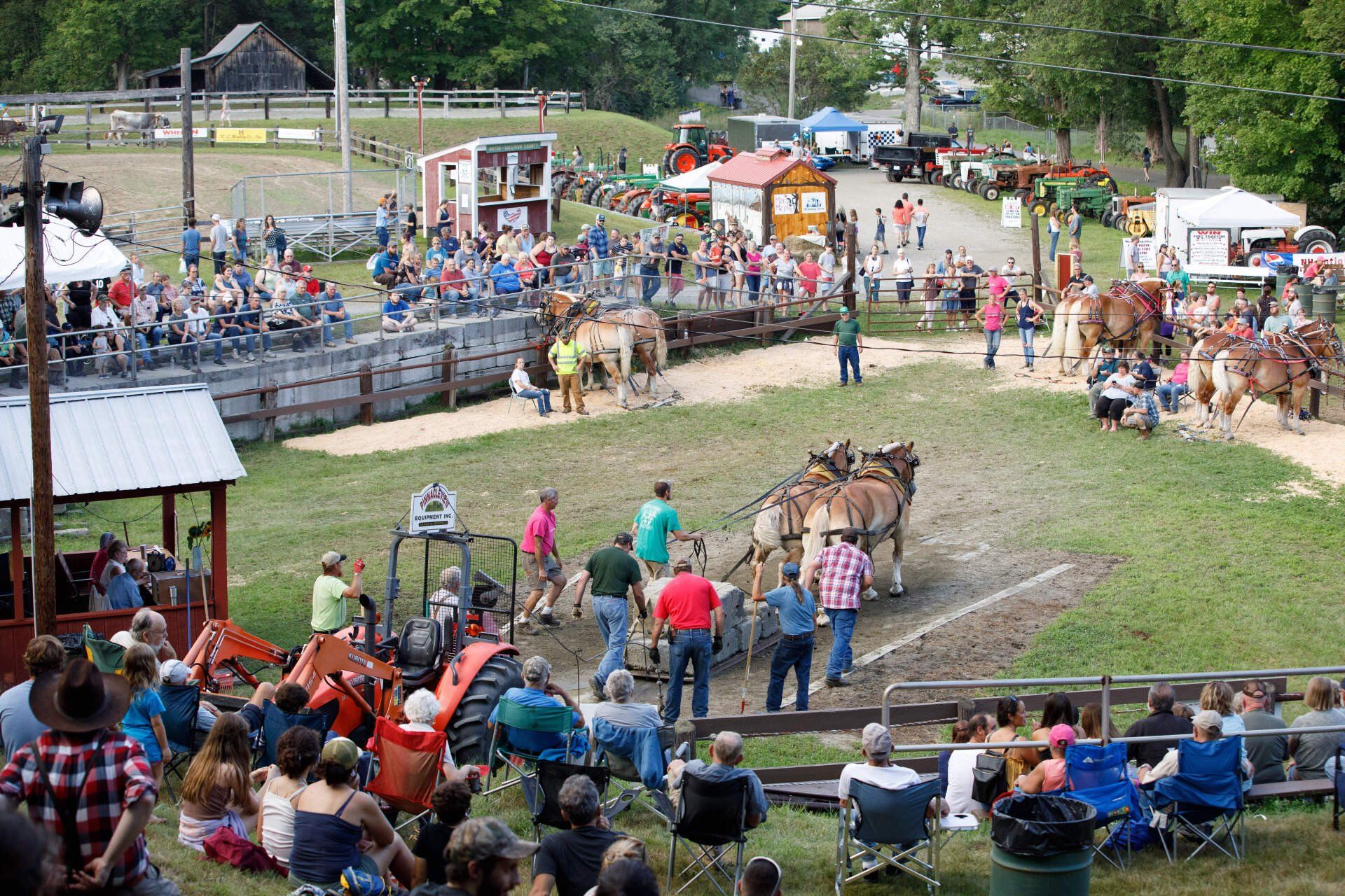 A crowd of people are watching a horse drawn carriage race.