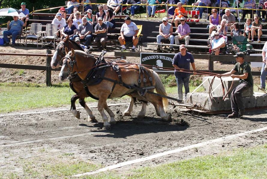 Two horses are pulling a wagon with a sign in the background that says ' circle ' on it