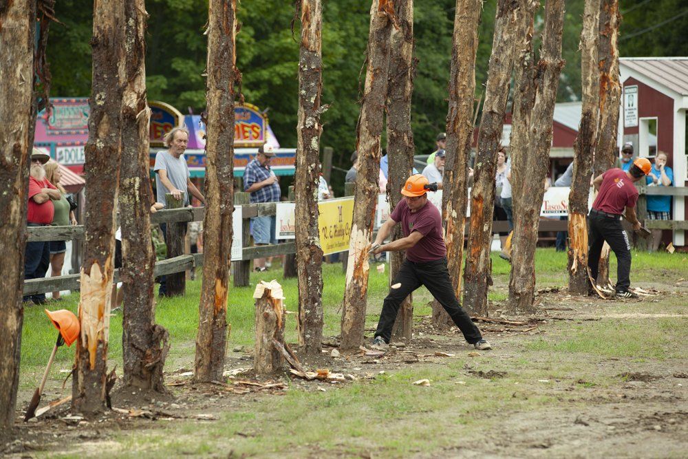 The Cornish Fair A FamilyFriendly, Country, Agricultural Fair