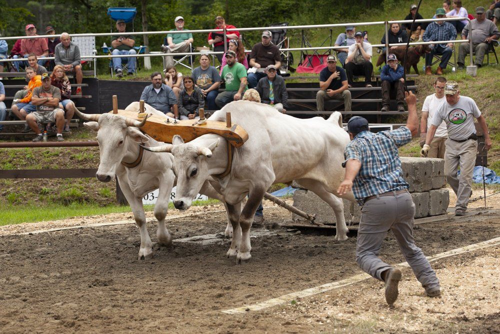 About The Cornish Fair in Cornish NH