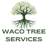 Tree service waco tx