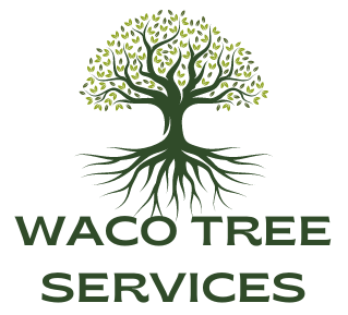 Tree service waco tx