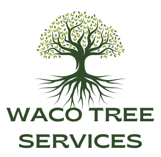 Tree Service Waco TX