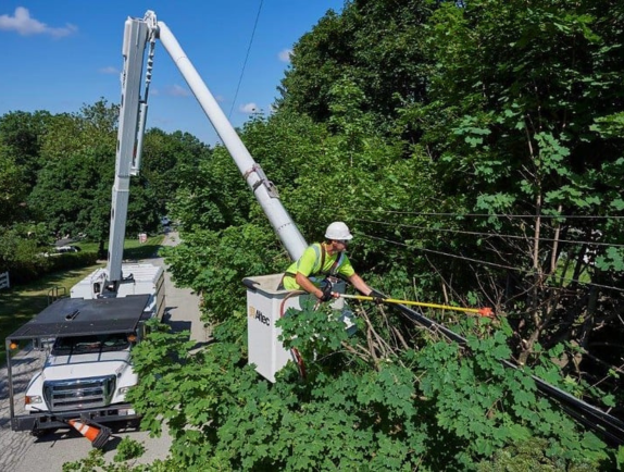 tree services waco