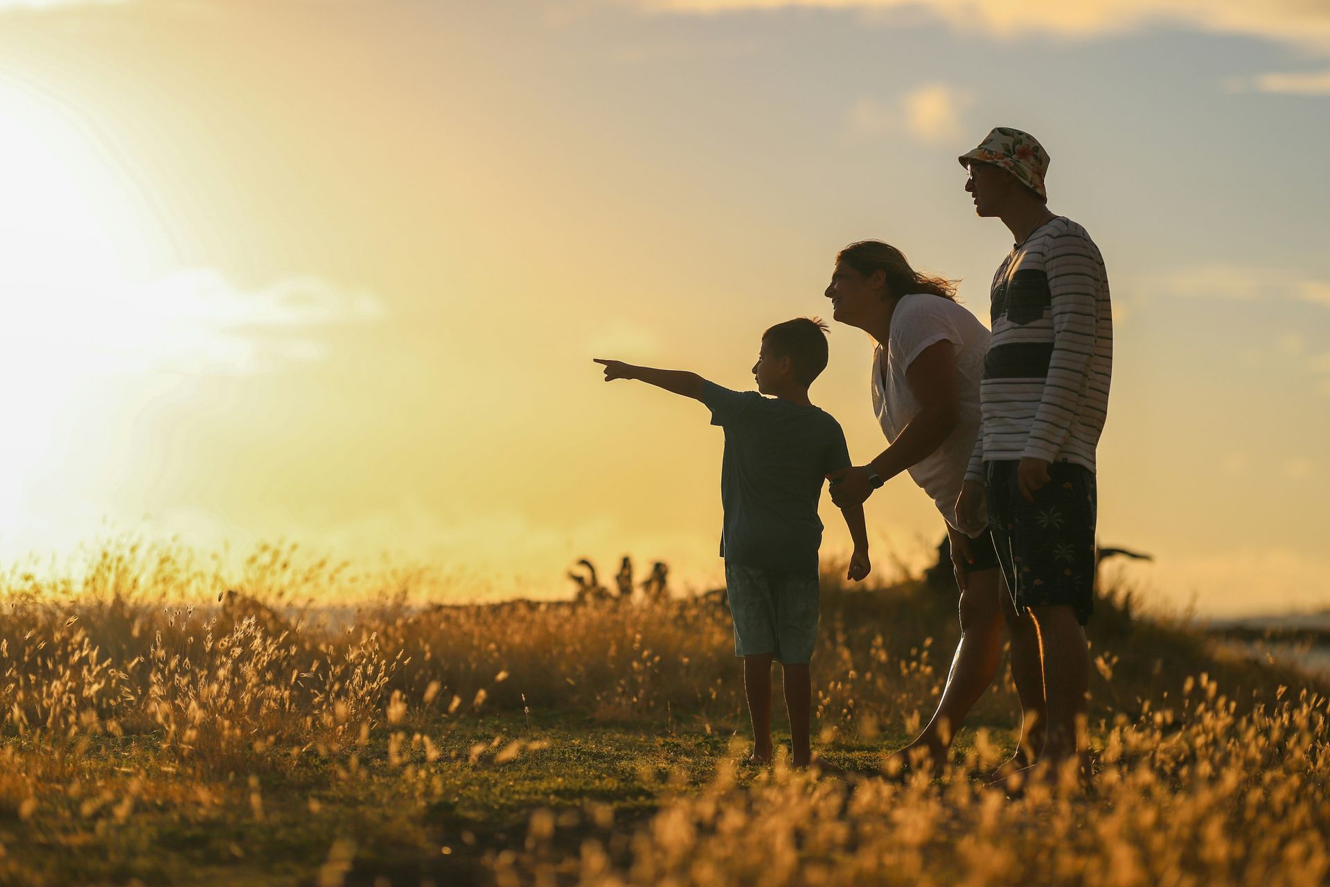 A family is walking through a field at sunset.