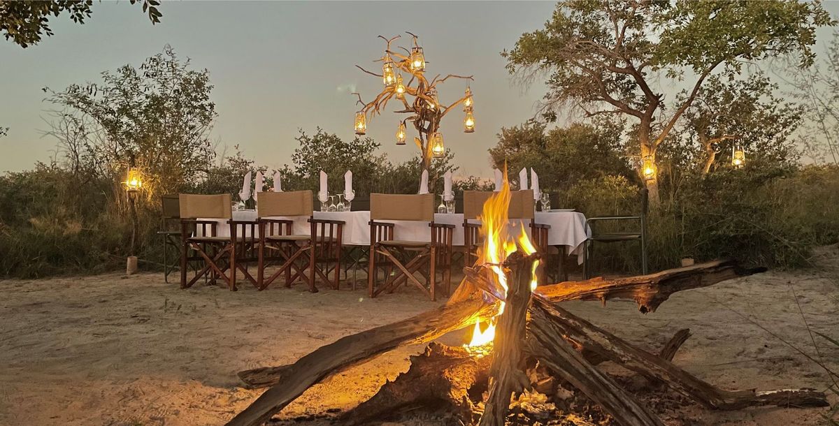 Feline Fields Game Drives