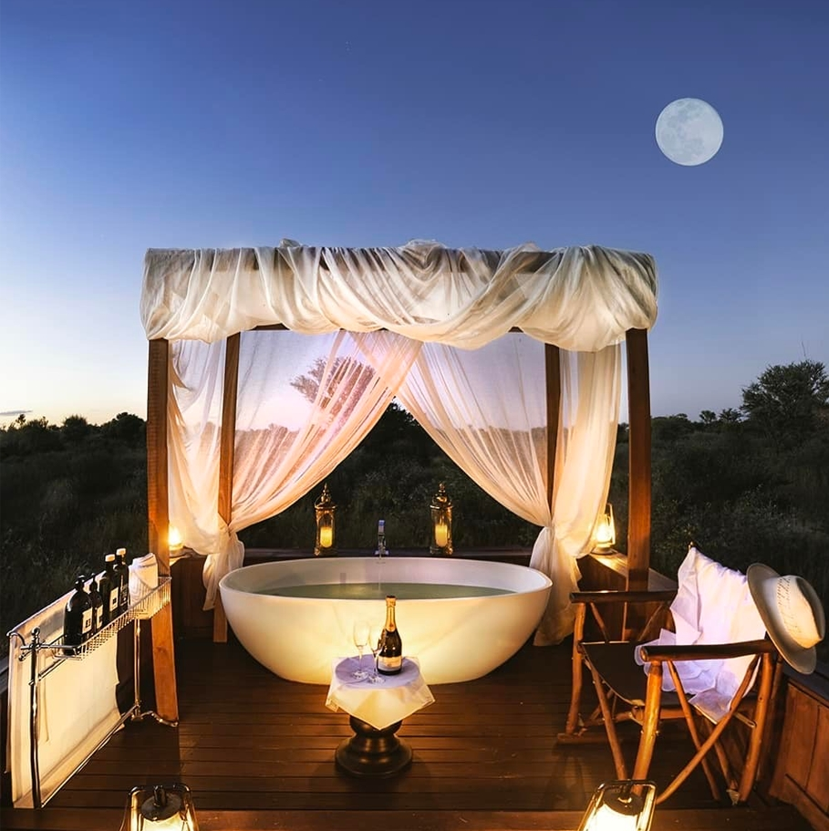 Feline Fields Bush Suite