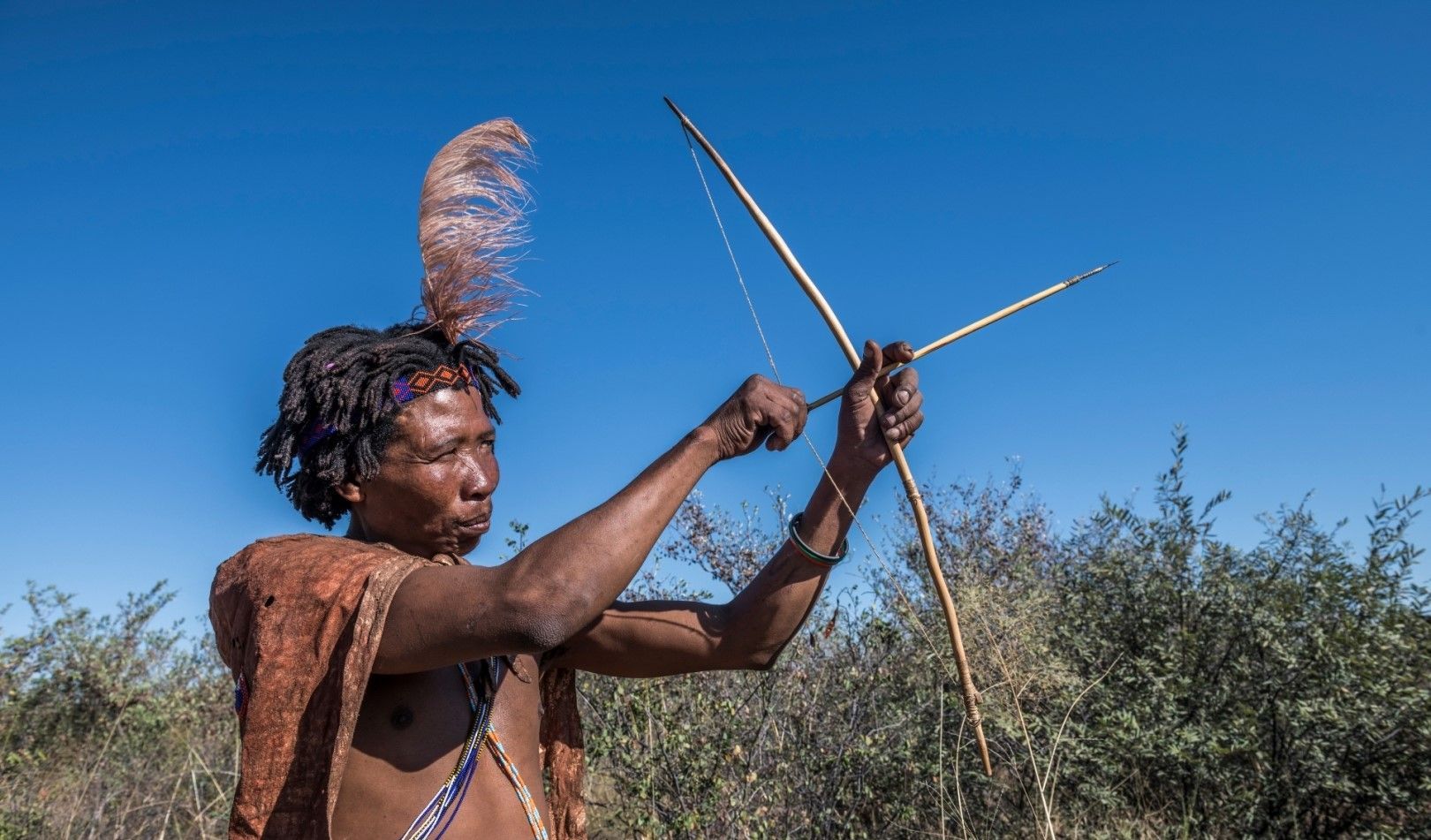 Feline Fields bushmen experience